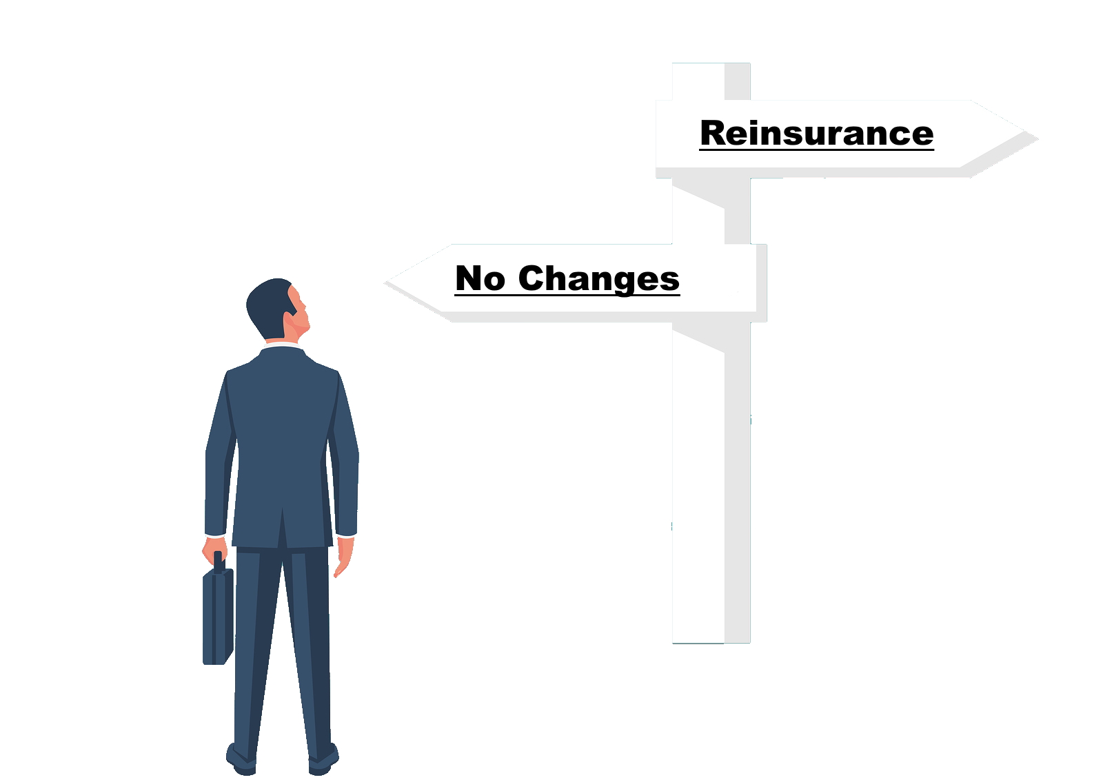 Reinsurance Company Formation & Administration